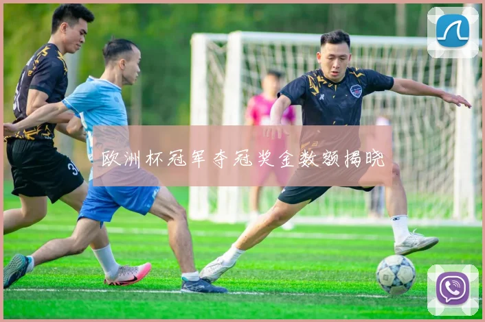 欧洲杯冠军夺冠奖金数额揭晓