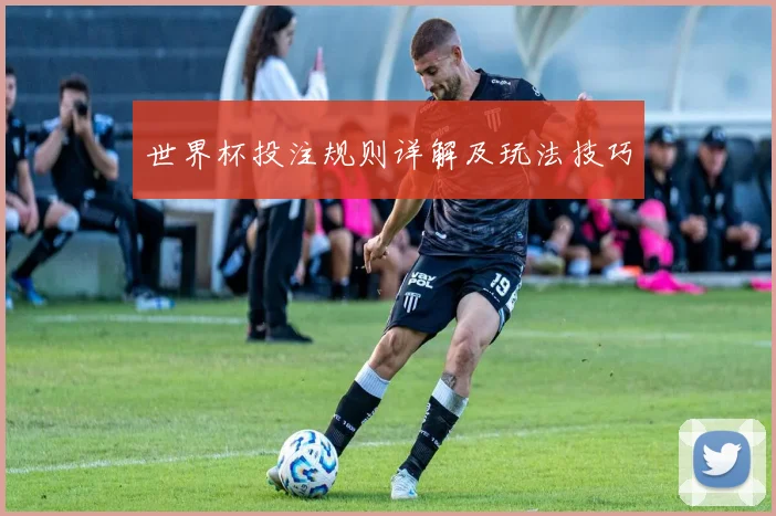 世界杯投注规则详解及玩法技巧