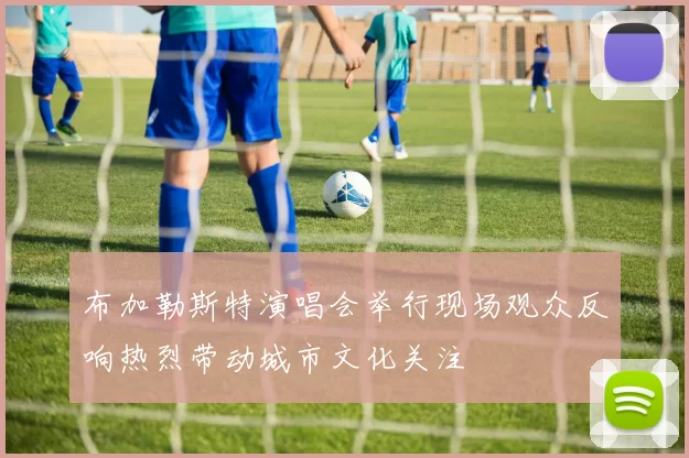 布加勒斯特演唱会举行现场观众反响热烈带动城市文化关注
