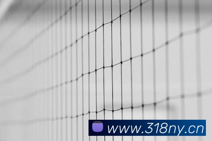 世界杯直播观看入口服务体系